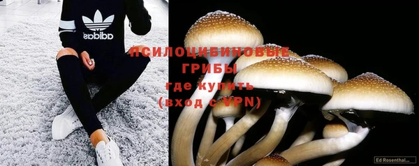 jwh Корсаков