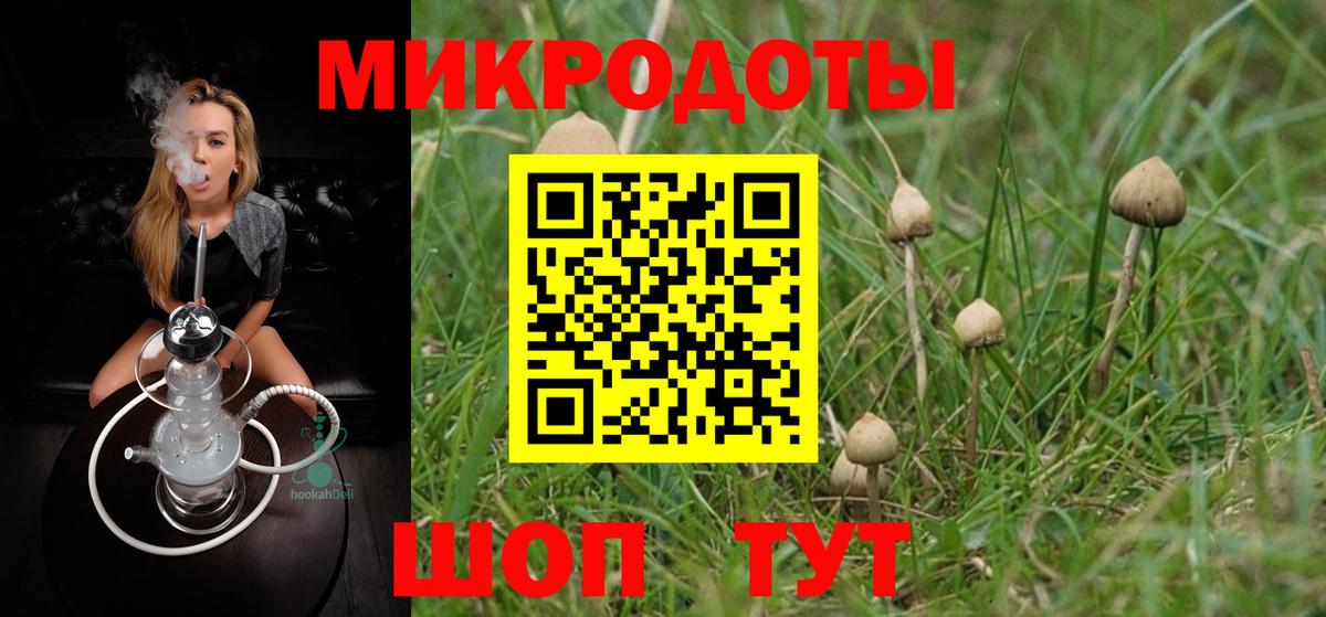 Псилоцибиновые грибы прущие грибы Шумерля