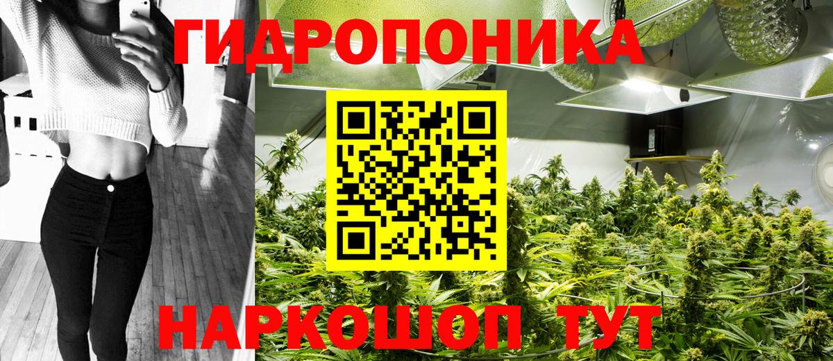 Конопля Amnesia Шумерля